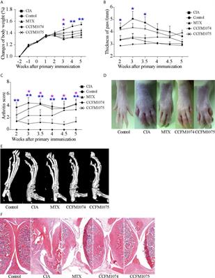 Lactobacillus casei CCFM1074 Alleviates Collagen-Induced Arthritis in Rats via Balancing Treg/Th17 and Modulating the Metabolites and Gut Microbiota